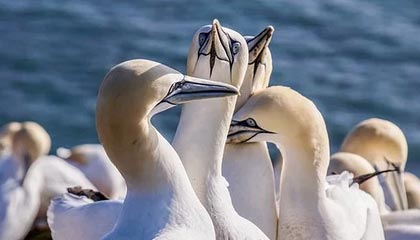 爱游戏线上-世界田径挑战赛中，王春雨勇夺女子800米金牌，世界田径挑战赛中,王春雨勇夺女子800米金牌的是谁