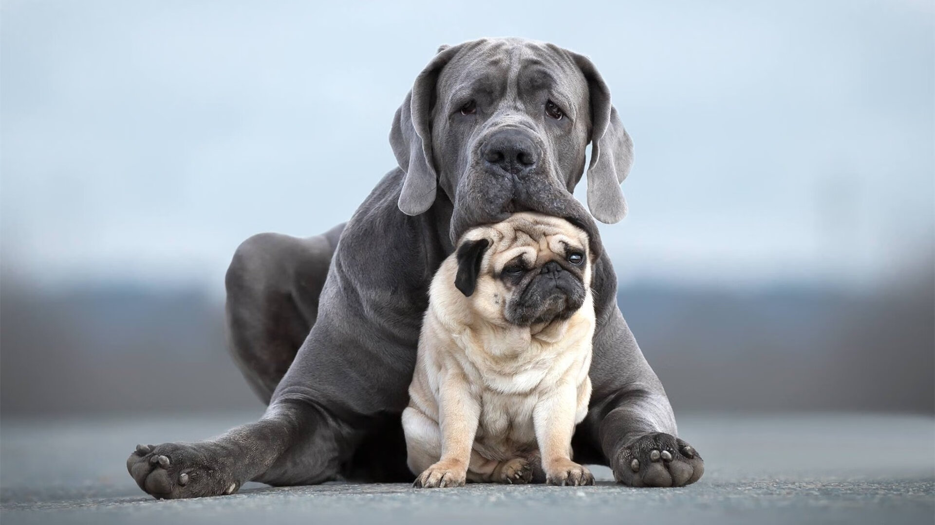 特色篮球主题公园在多个城市落成，普及运动文化，篮球篮球公园