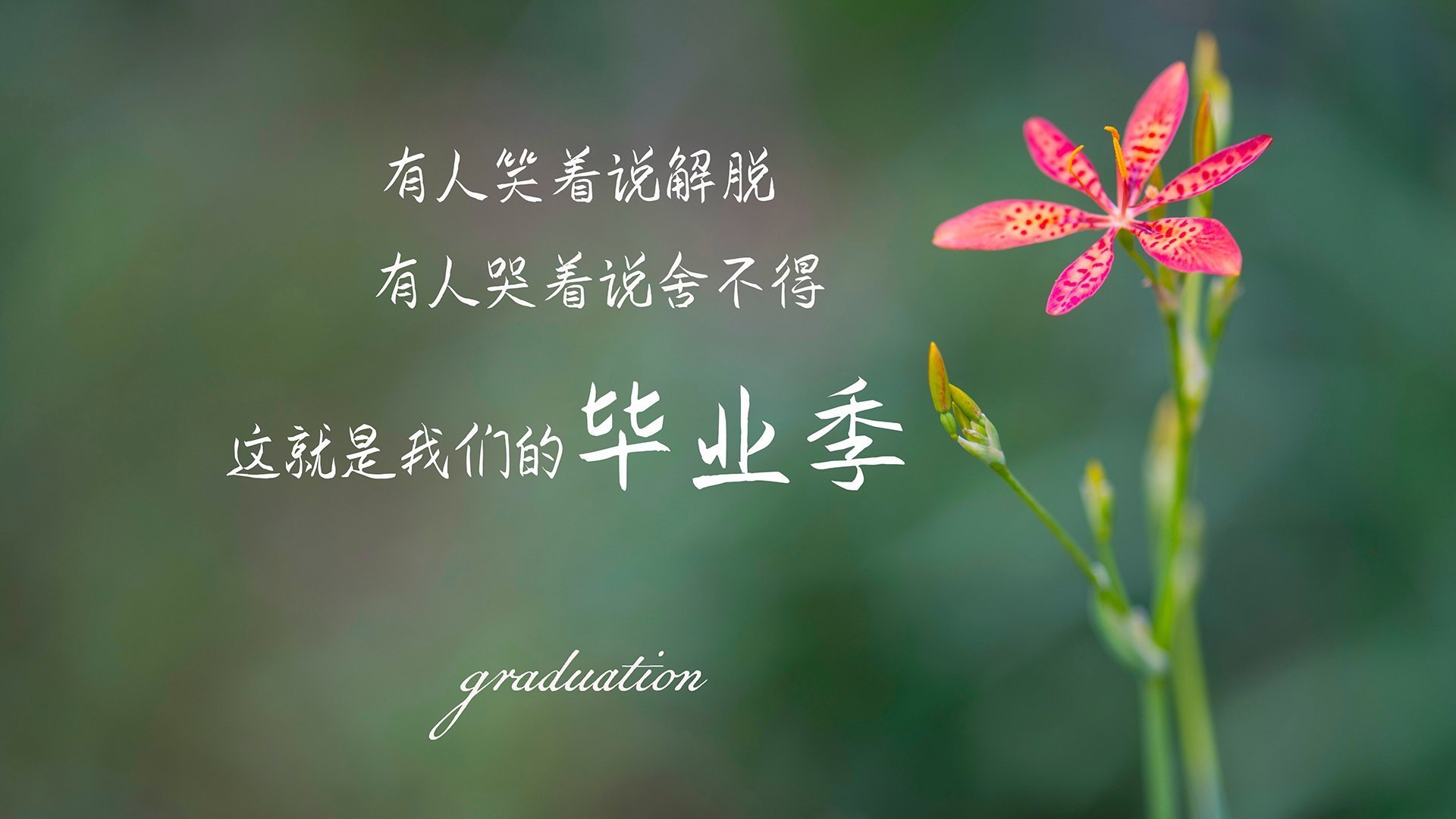 全北现代新赛季阵容公布，全北现代打法