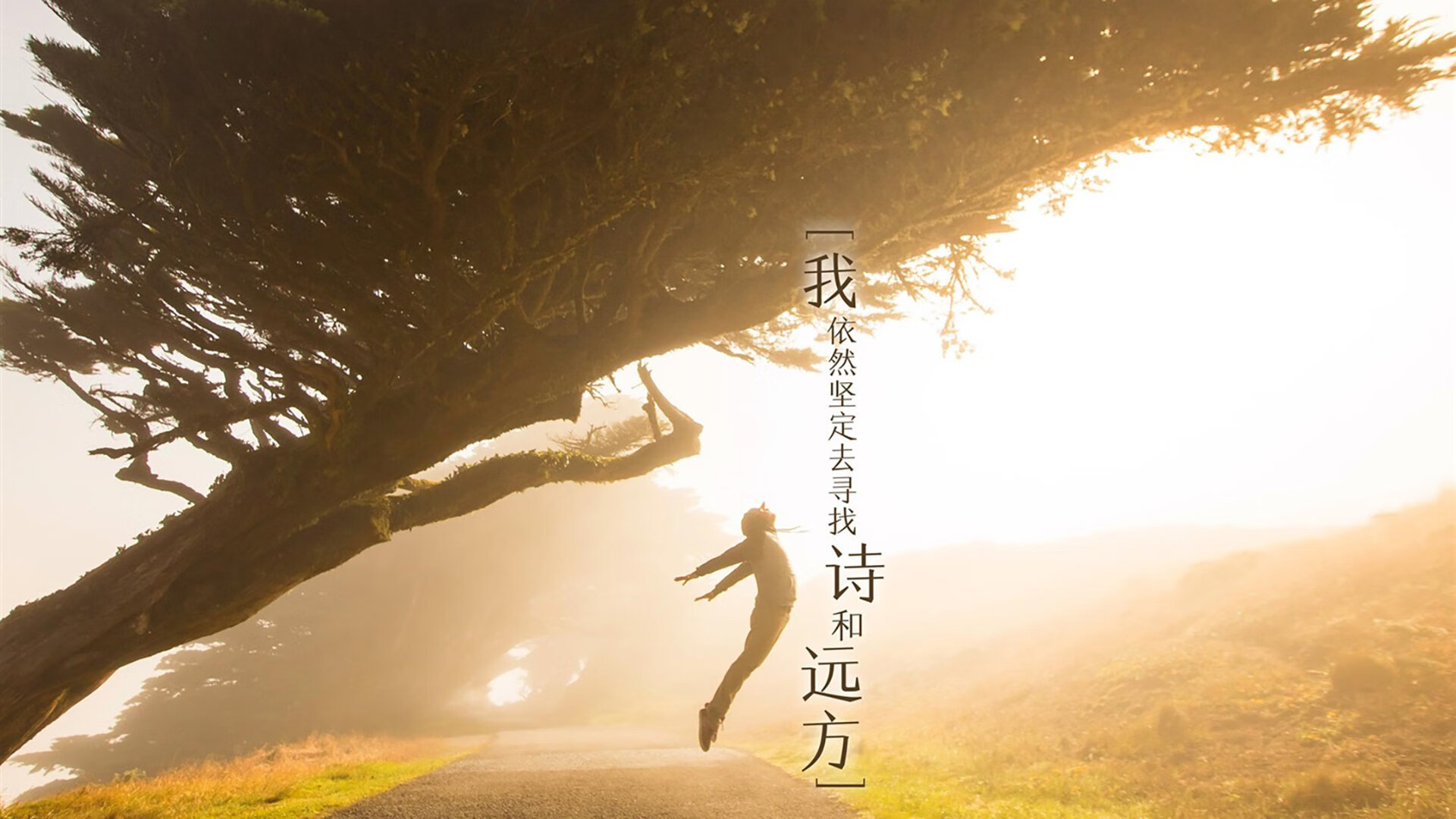 平分秋色！国内足球赛事各别展现，足球比赛 中国