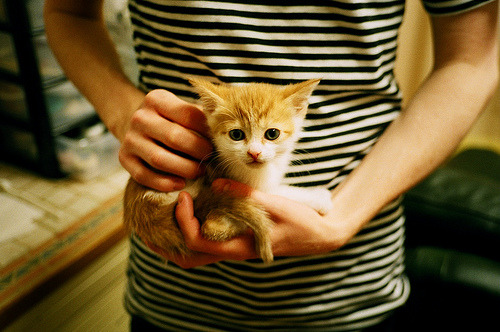 爱游戏服务-新秀掌控全队 氛围焕发 迎接新挑战，新秀队应该起什么口号