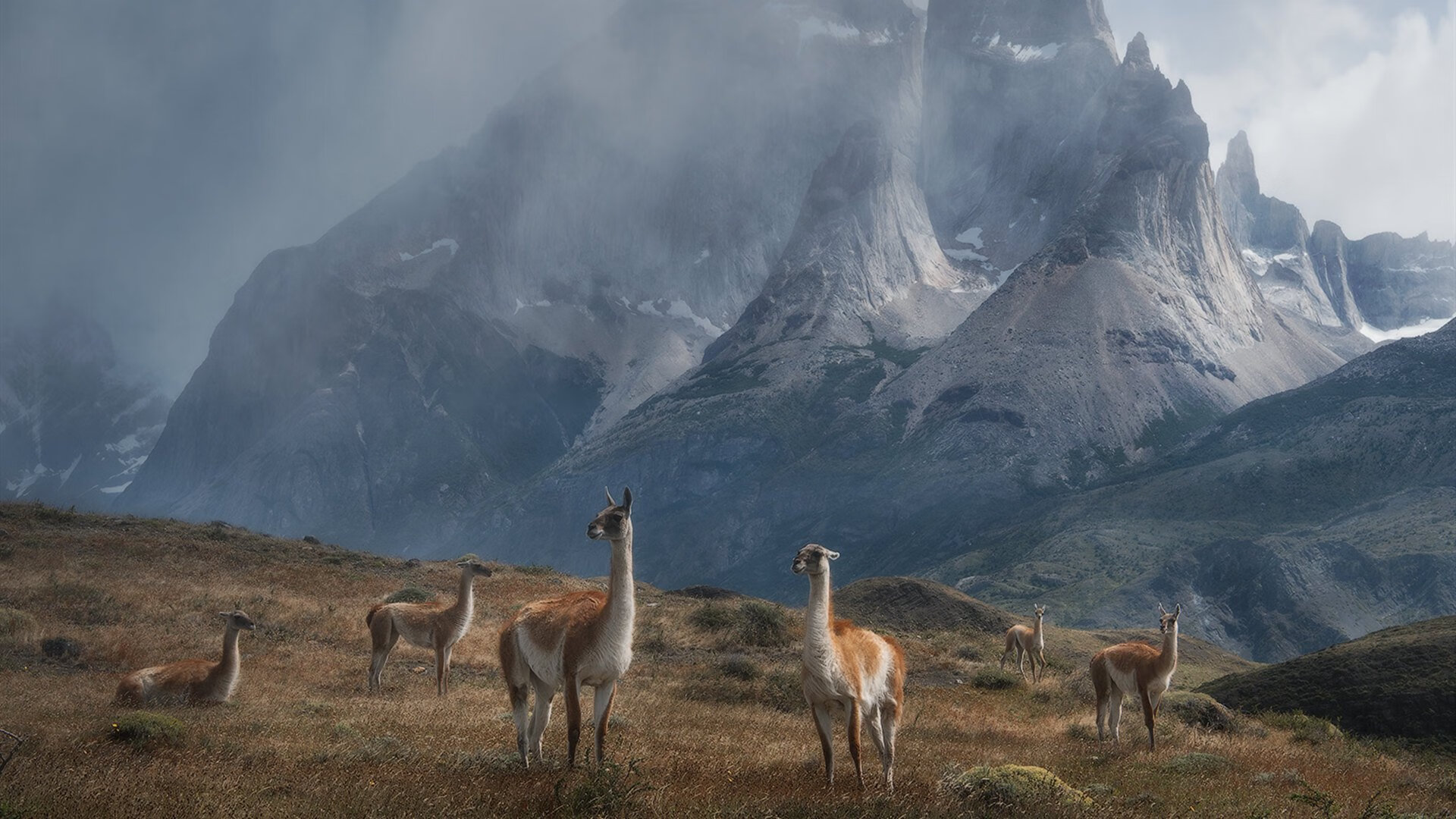 未知之战：双方实力对比尽显悬念，未知的战斗力