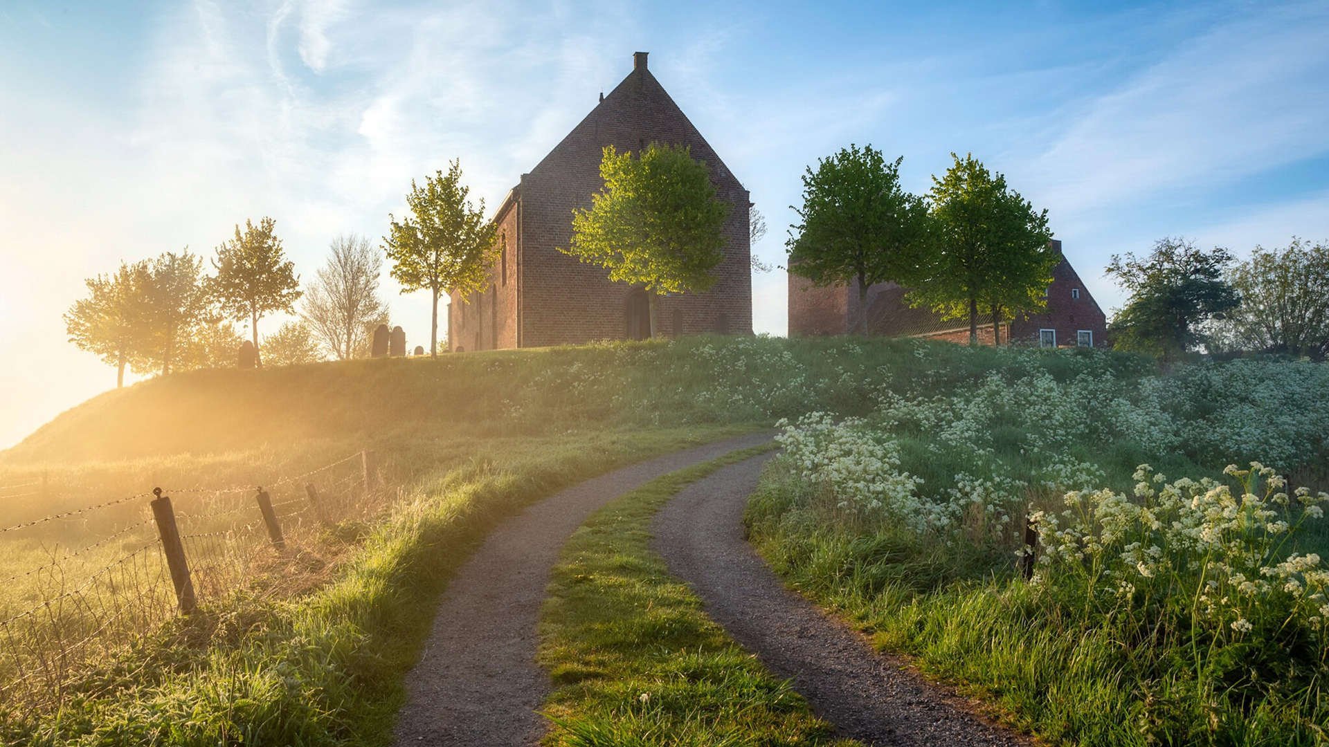 格鲁吉亚国家队集结备战欧预赛，备战全力，格鲁吉亚足球联赛