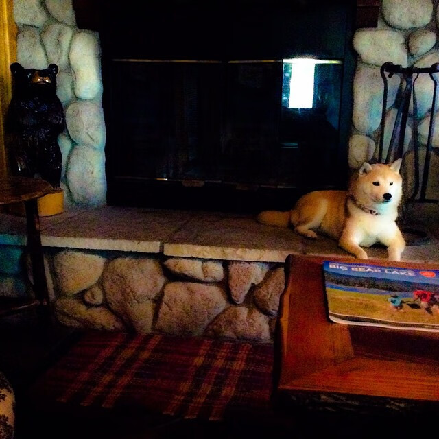 世界乒乓球青少年挑战赛中国队夺冠，世界乒乓球青少年挑战赛中国队夺冠视频