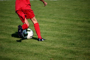 爱游戏APP-中国篮球教练员职业发展规划及培训体系，篮球教练员职业生涯规划