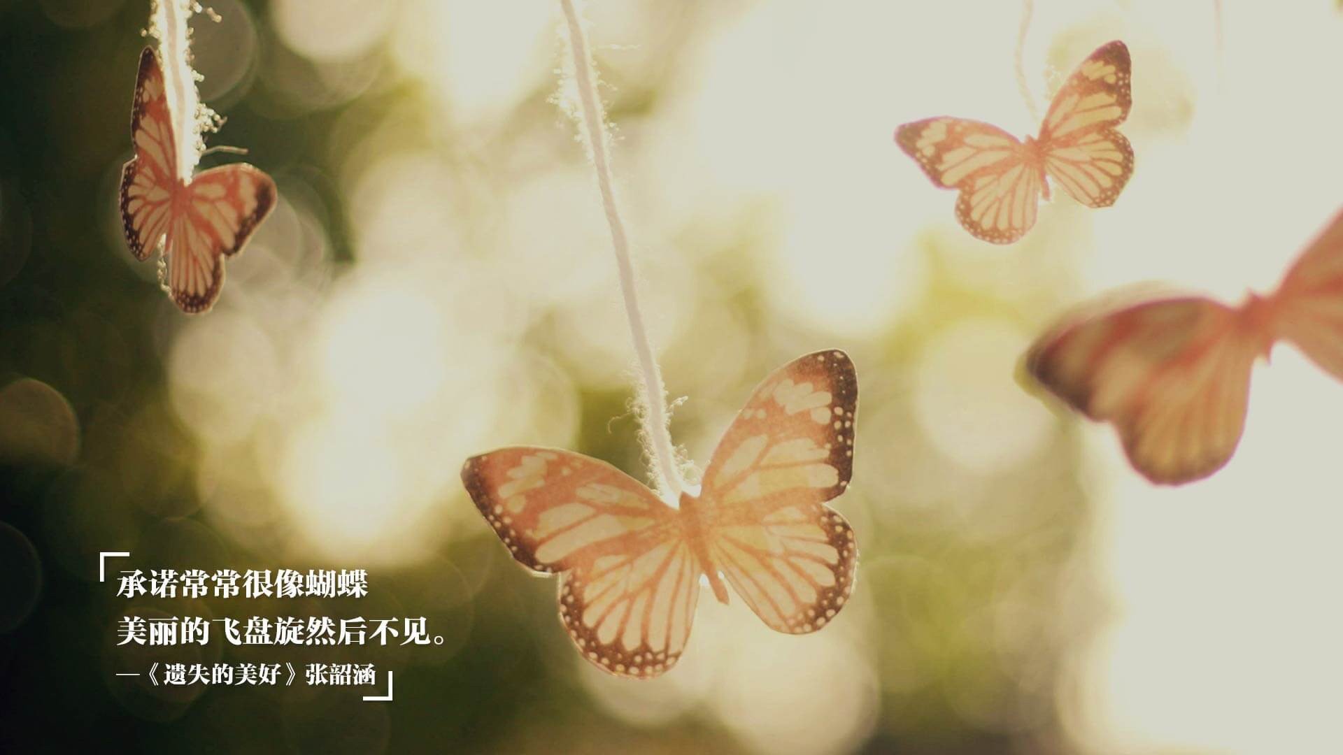 体育赛事志愿者培训体系建设与实践，体育赛事志愿者工作内容