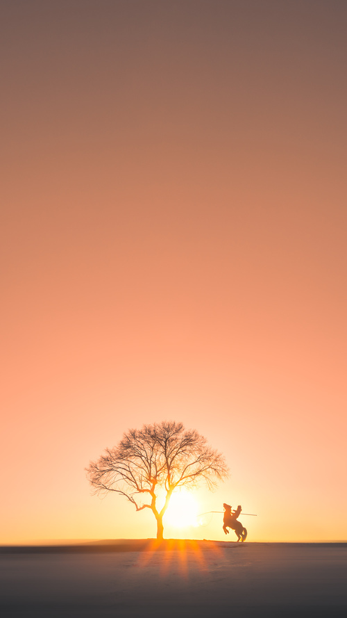 数字化体育资源共享平台建设与管理，数字体育平台是什么