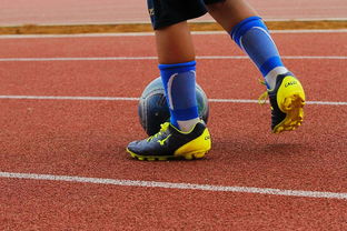 爱游戏智能平台-篮球运动员心理健康支持体系构建，篮球运动员心理健康支持体系构建方案