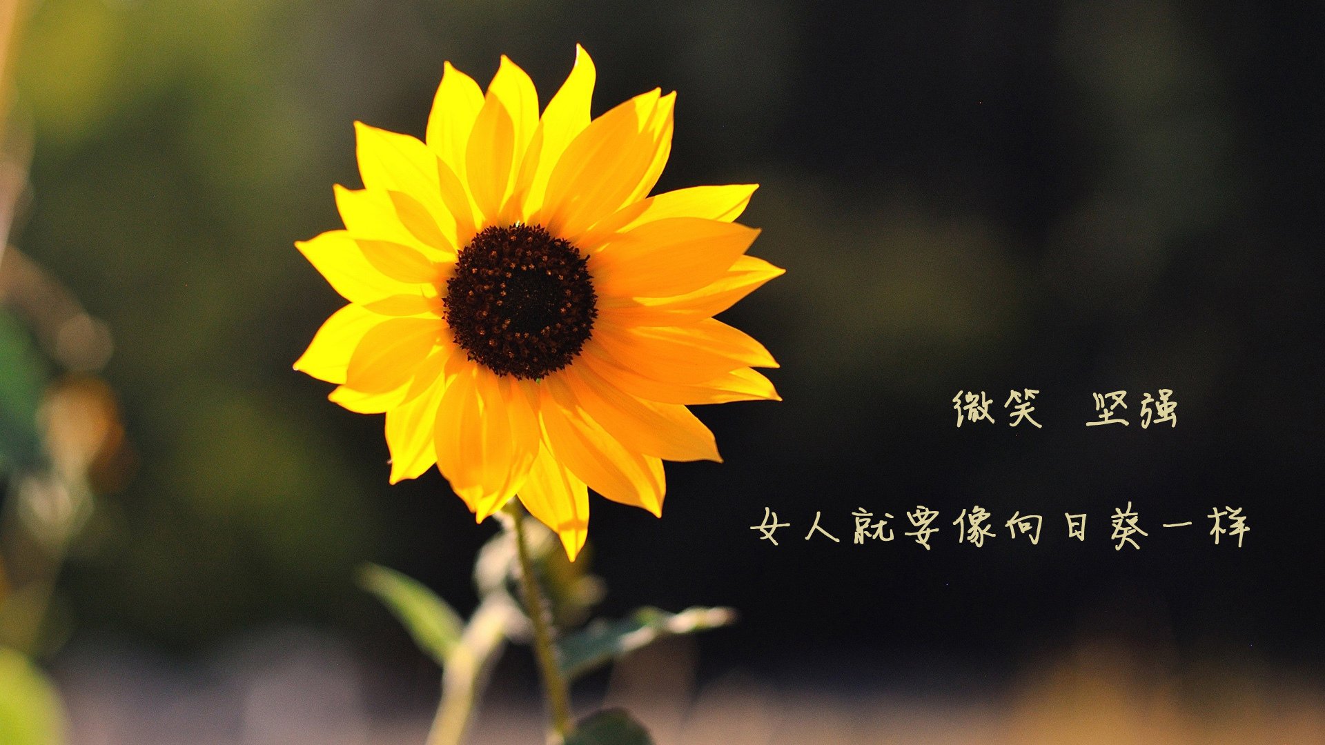 爱游戏官方主页-“挥拍如风，壁球挑战极限！高新区全民健身馆迎来速度与耐力之战”