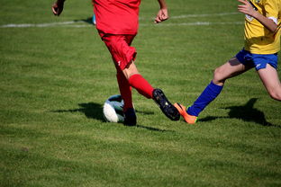 爱游戏入口-“拳王争霸：四川省体育馆拳击赛将诞生新的世界拳王”