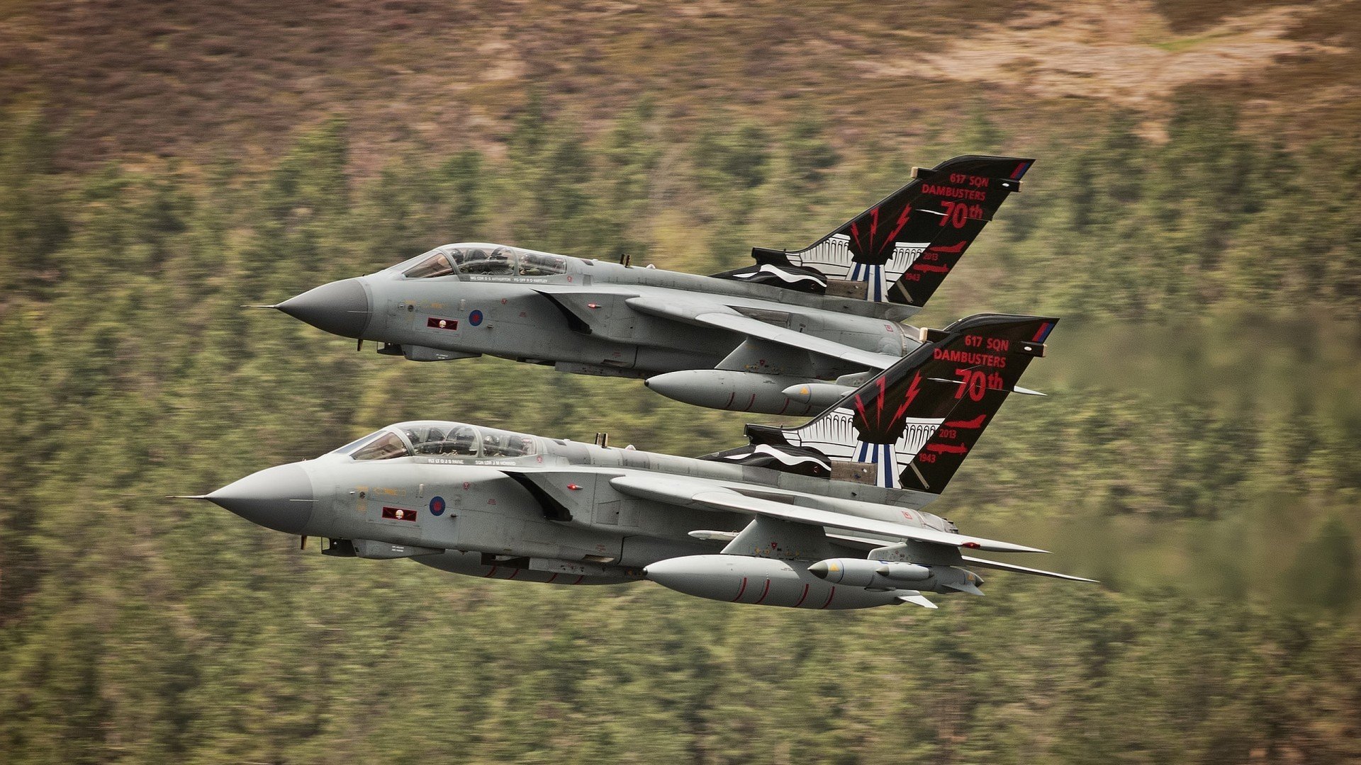 “亲子奔跑,香港牛仔3K亲子跑让亲情与运动融合”